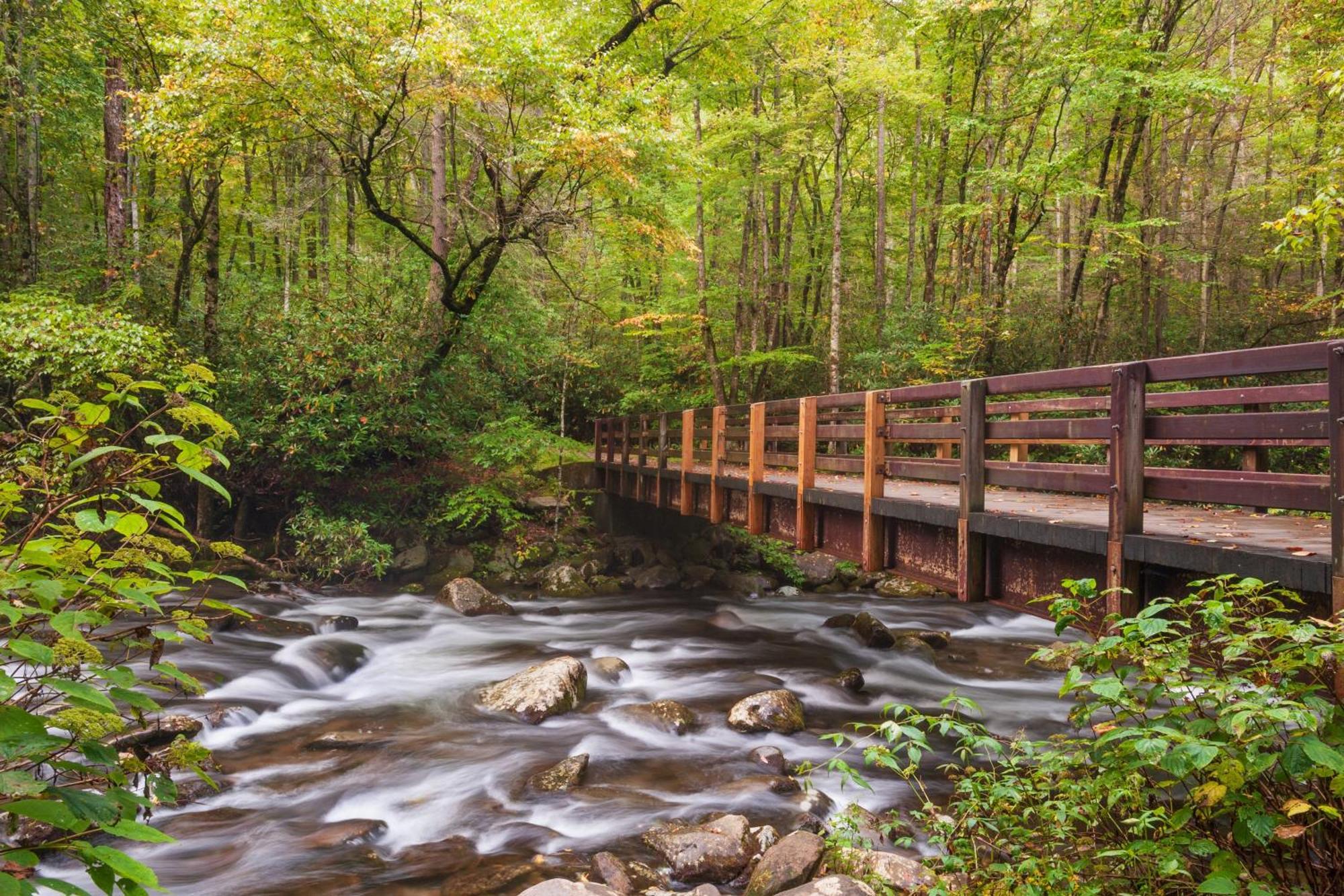 Rock Of Ages, Hot Tub, Game Room, Wifi, 1089 Free Tickets Each Paid Day, Dollywood And More ピジョンフォージ エクステリア 写真
